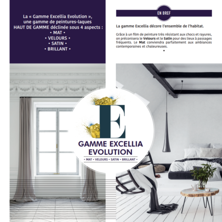EXCELLIA MAT ÉVOLUTION – Image 2