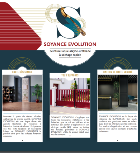 SOYANCE ÉVOLUTION – Image 3