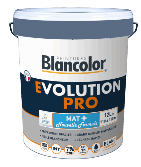 EVOLUTION PRO MAT + NF